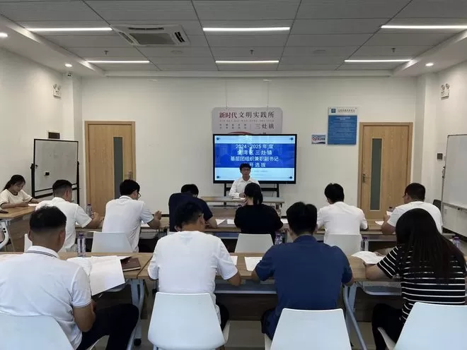 兼职副书记需要做什么检查，工作总结是什么，对大学生有什么好处？