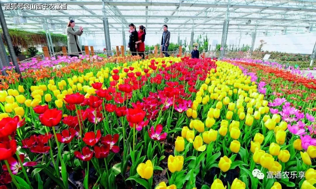 五一兼职南和怎么找？农业嘉年华日结活儿好找不？靠谱的在哪找呀？