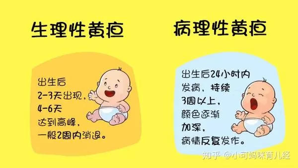 假期不做兼职能做点啥有意义的事儿，怀孕还能休哪些假呀？
