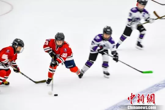 想应聘最新兼职冰球教练工作，北京深圳海南都有机会？