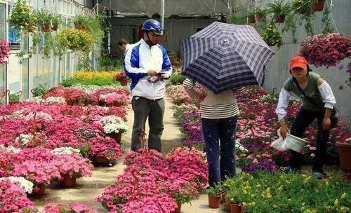 小城市低成本创业，低门槛副业有哪些能长期赚钱的项目？