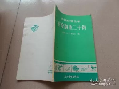 家庭副业有哪些书籍推荐，包括介绍风土人情和童年的书？