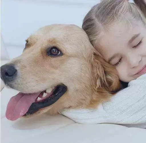 宠物副业做什么靠谱？适合退休的这些闷声赚钱路子有哪些？