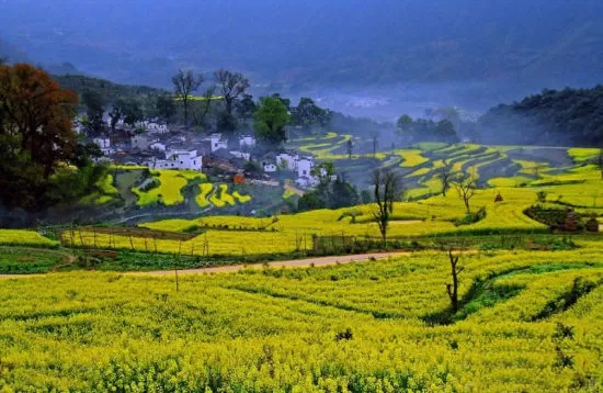 婺源兼职怎么选？油菜花最佳时间和旅游攻略怎么安排？