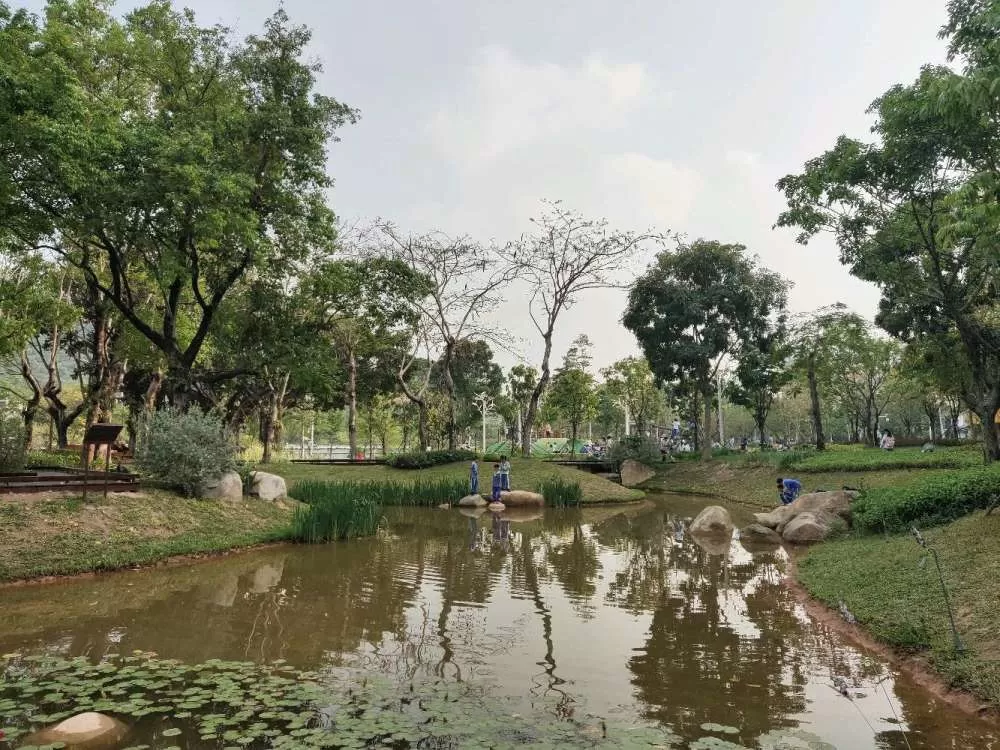 九围湿地公园深圳在哪，九围国际总部兼职有哪些岗位呀？