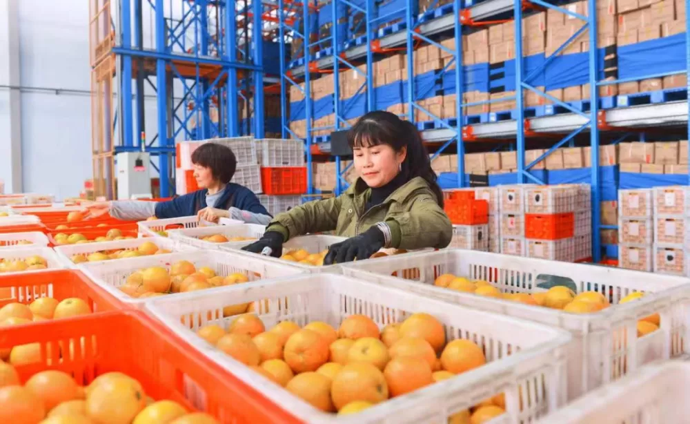 乌鲁木齐女性退休或下班后,适合做哪些靠谱农副产品副业?