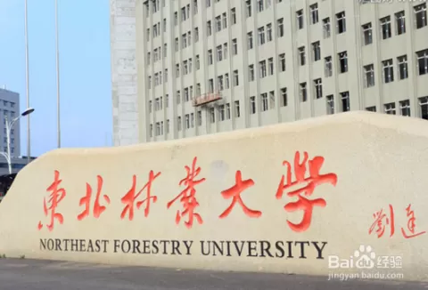 佛山三水学生兼职怎么找?寒假工暑假工哪里招,还能赚零花钱?