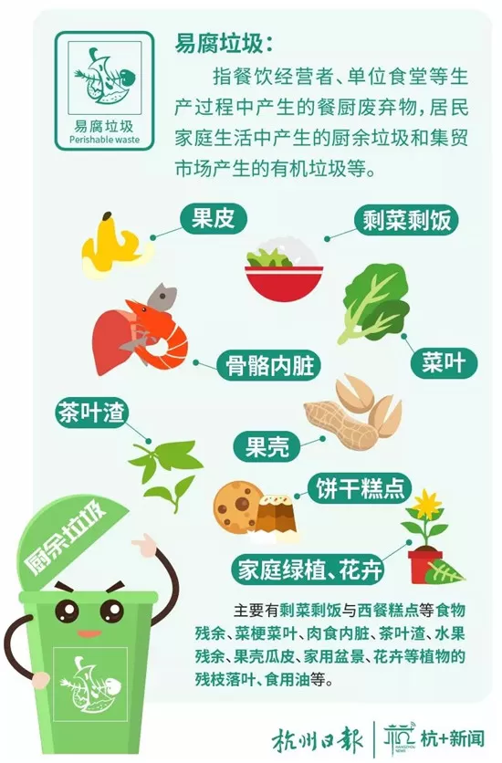 00后低成本养虫创业,小城市用猪粪餐厨垃圾养虫喂鸡能做啥副业?