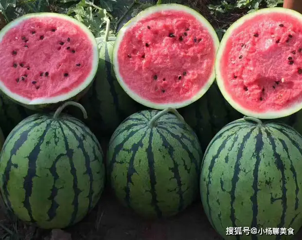 3步教你红豆角刷粉丝，轻松涨粉不踩坑！