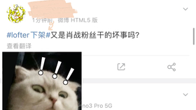 lofter刷粉丝有效吗？新手快速涨粉的3个方法