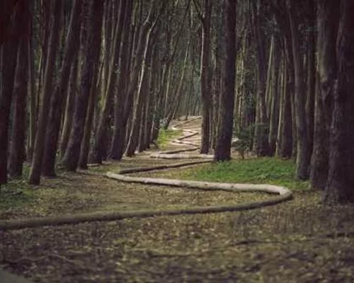 重庆大学城便利店兼职工作场景