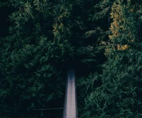 大四女孩在家兼职工作场景