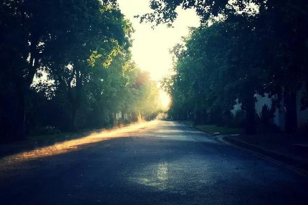 淄博大学生兼职信息查询示意图