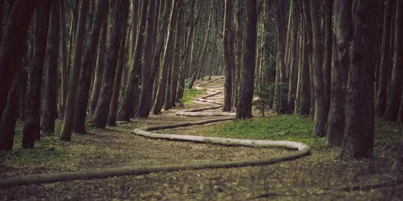 济南顺丰小时工工作场景