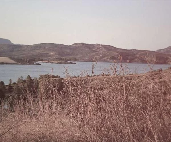 金港镇兼职工作寻找指南