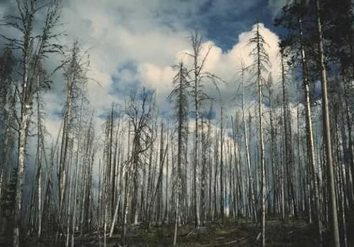 喜马拉雅有声书录入工作场景