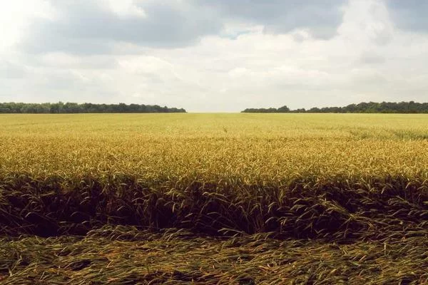 私家车兼职收入分析图表